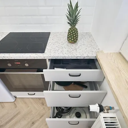 Partyzantow 12 شقة أولشتين